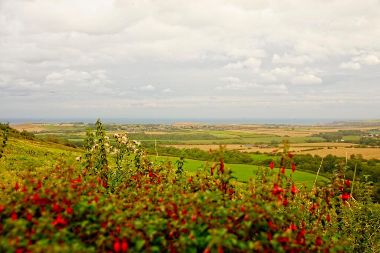 Rosecombe, Borrowby Farm Cottages 스테이츠 외부 사진